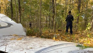 Katastrofa szybowca pod Częstochową