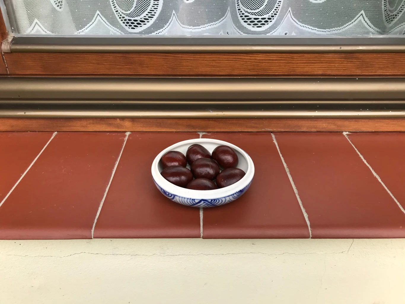 Kasztany rozłożone na parapecie mogą skutecznie odstraszać pająki i owady. 