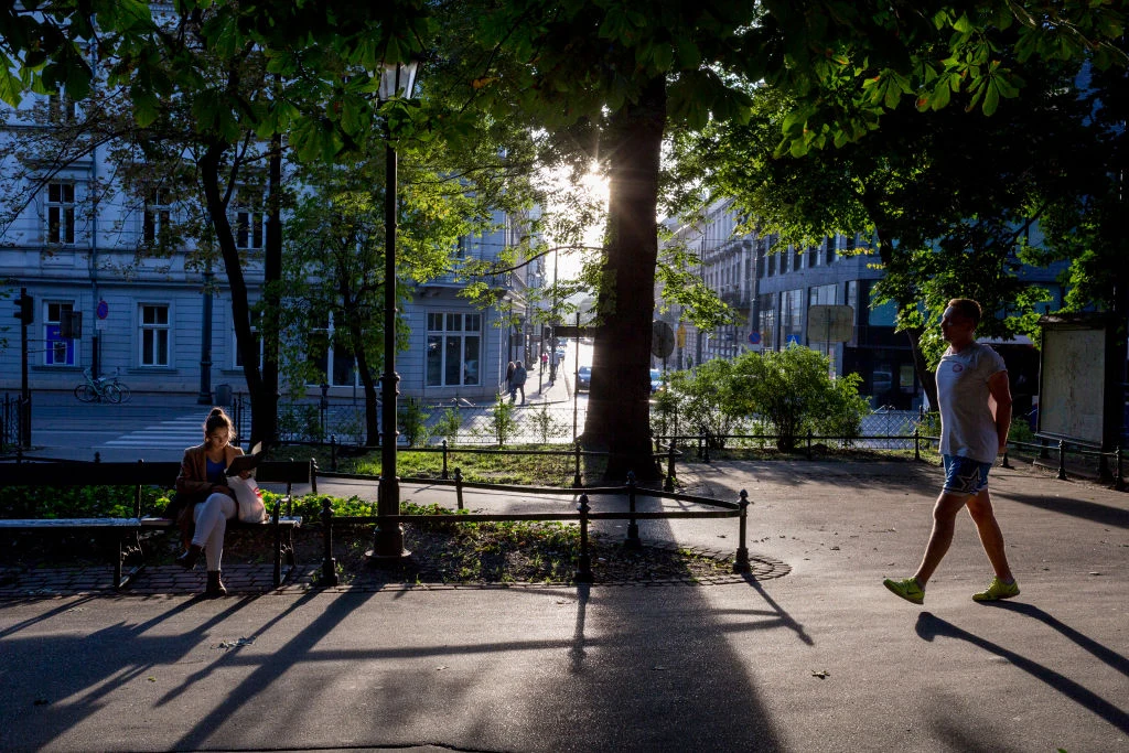 Miasta mogą być "zieleńsze"