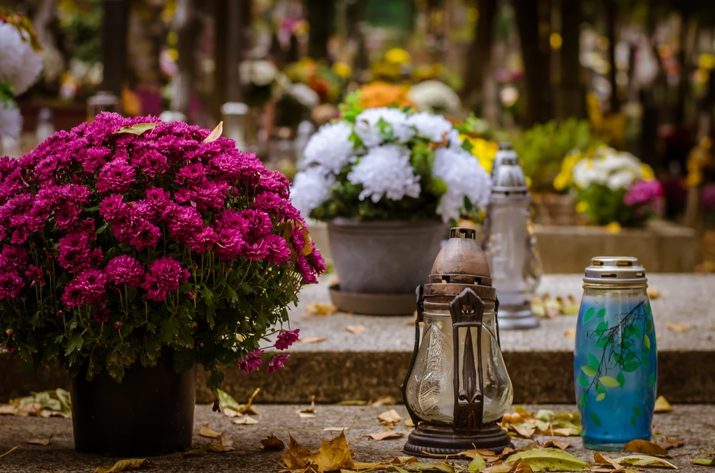 Pod żadnym pozorem nie zabieraj kwiatów z cmentarza do domu