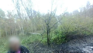 W odnalezieniu 70-letniego mężczyzny pomogła fotopułapka