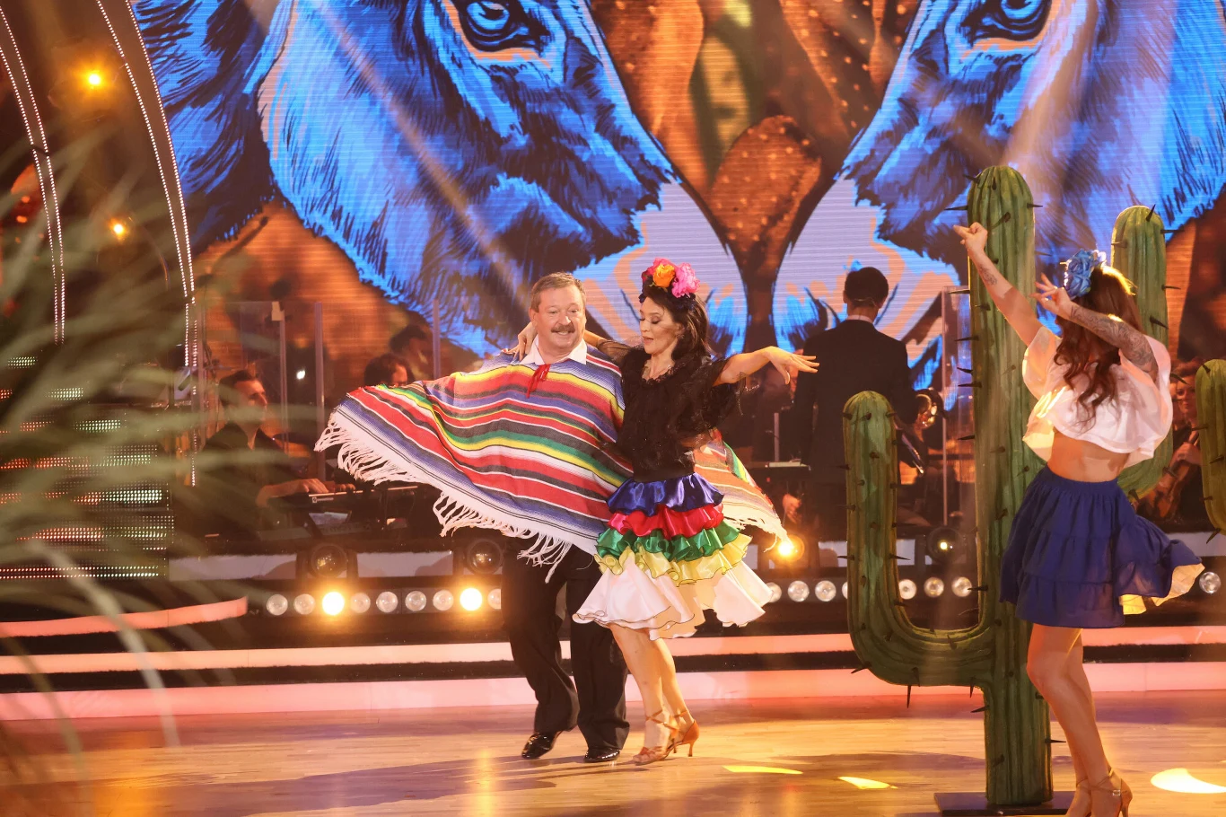 "Taniec z gwiazdami" 13