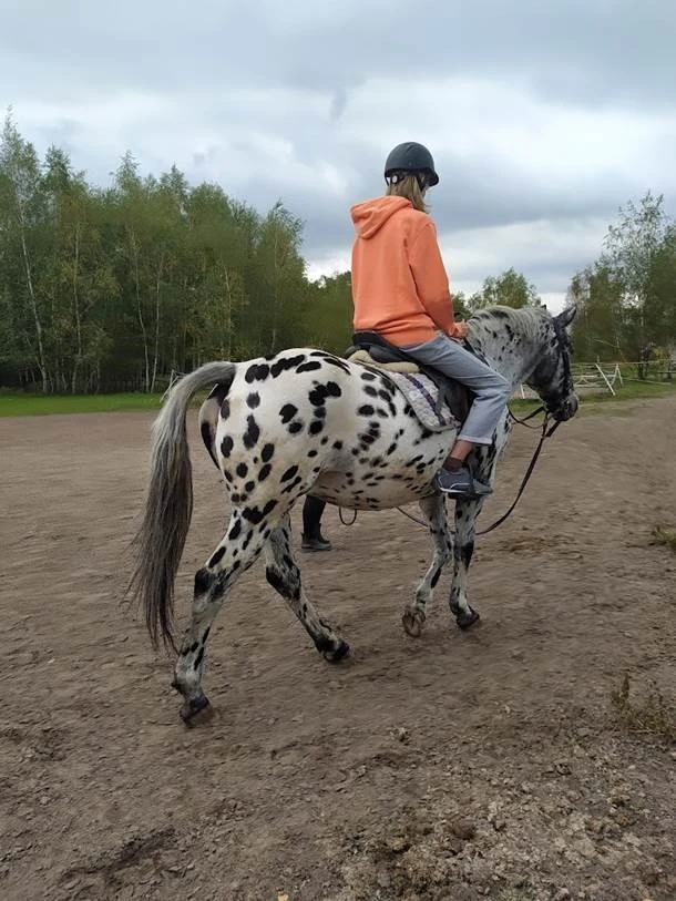 Rodzice uczniów Szkoły w Chmurze przekonują, że ta forma edukacji daje dzieciom szansę rozwoju 