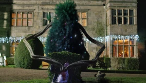 Kadr z filmu "The Killing Tree"