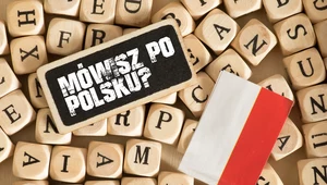 QUIZ: Jak dobrze znasz język polski? Niektóre pytania potrafią zaskoczyć!