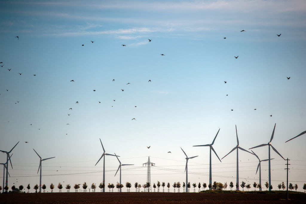 Niezależność energetyczna to cel europejskich krajów. OZE w tym pomaga