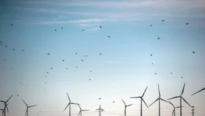 Czy warto inwestować w elektrownie wiatrowe?