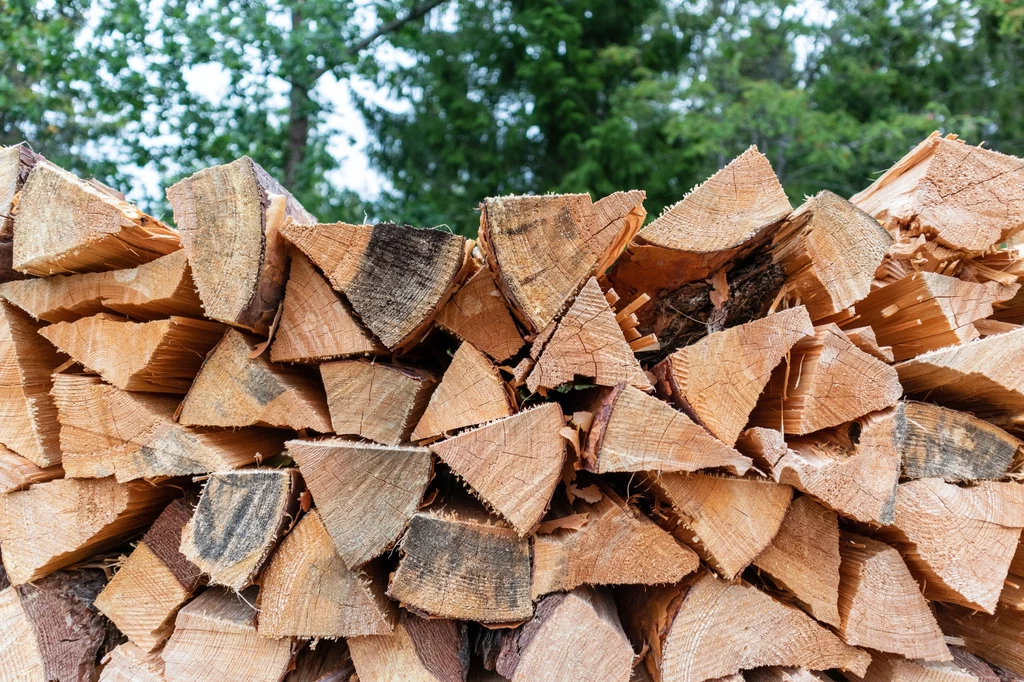 W Niemczech nasilają się oszustwa przy sprzedaży drewna na opał. Popyt na drewno i kominki w tym roku jest rekordowo wysoki