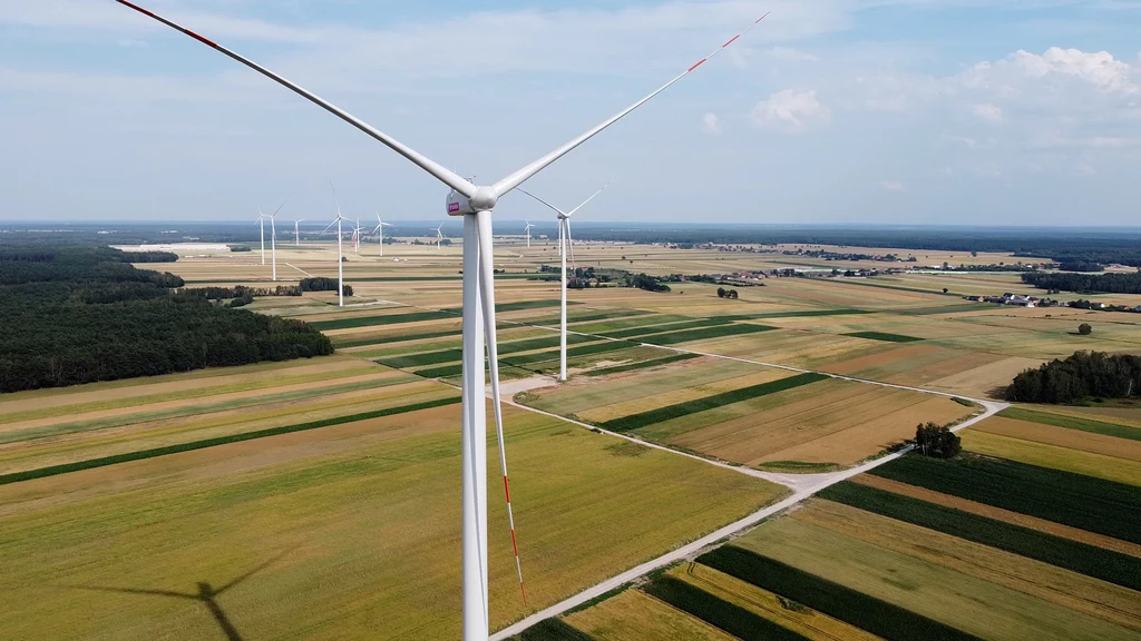 Tauron zakończył prace budowlane na terenie farmy wiatrowej Piotrków