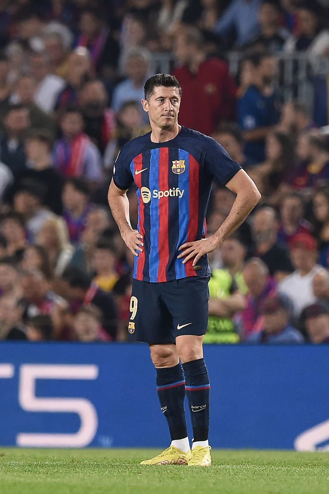 Robert Lewandowski Robert Lewandowski