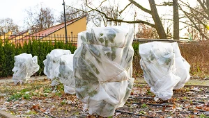 ​Kiedy zaczną się przymrozki w Polsce? W tym roku mają przyjść znacznie wcześniej