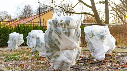 ​Kiedy zaczną się przymrozki w Polsce? W tym roku mają przyjść znacznie wcześniej