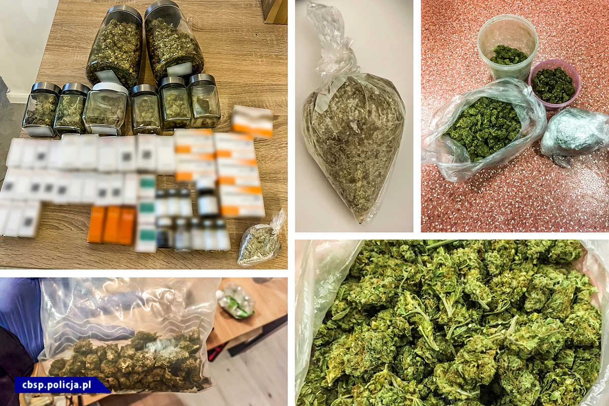 Policjanci zabezpieczyli amfetaminę, marihuanę, 2CB i sterydy anaboliczne
