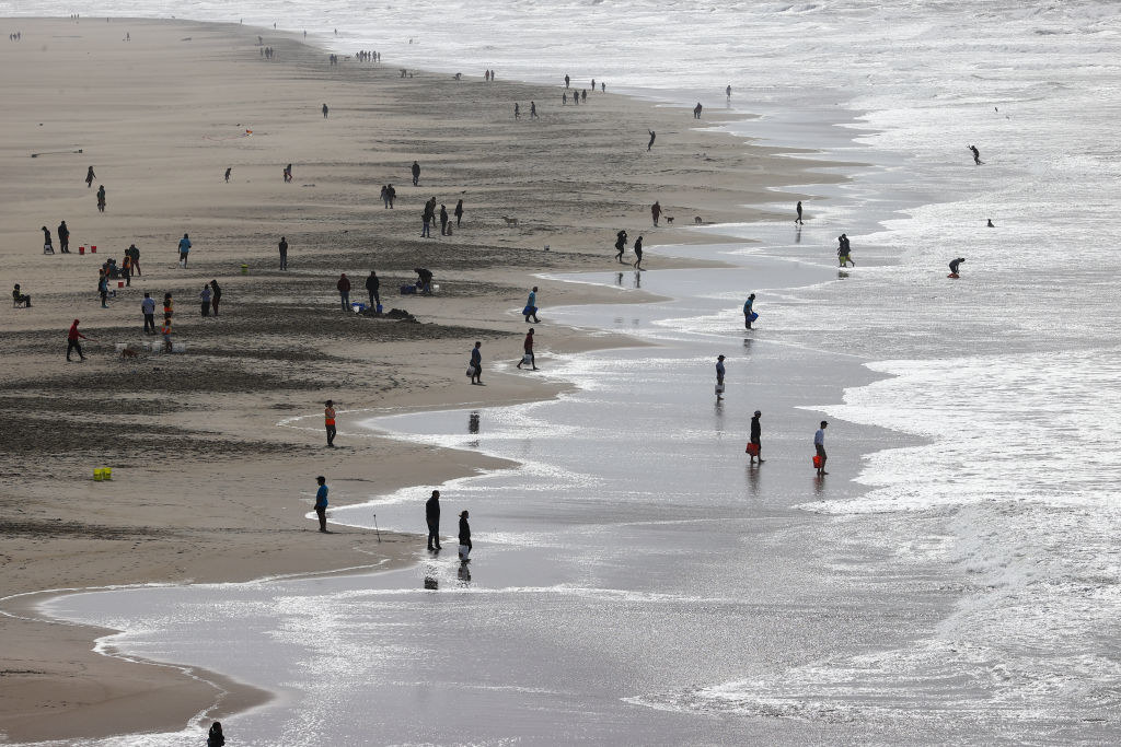 Ocean Beach, San Francisco