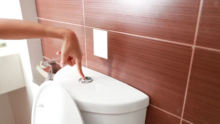 Mając toaletę z dostępem do spłuczki, warto wyczyścić ją octem. 