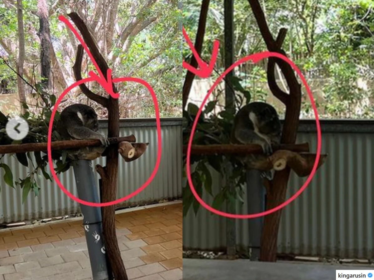 Kinga Rusin nie gryzie się w język. Napisała ostry list do władz: ""Musiałam zaprotestować"