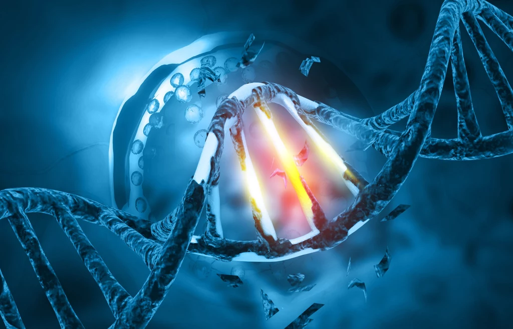 Badania DNA pozwalają identyfikować sprawców zbrodni sprzed wielu lat