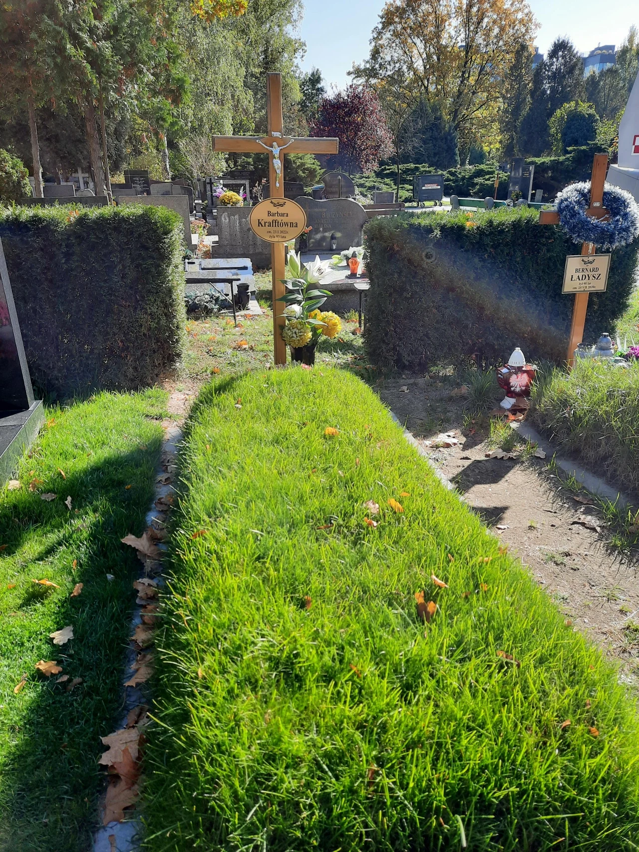 Barbara Krafftówna Barbara Krafftówna