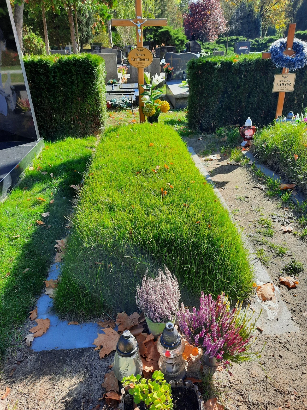 Barbara Krafftówna Barbara Krafftówna