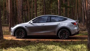 Tesla Model Y była najchętniej kupowanym autem w Szwajcarii w 2022 roku.