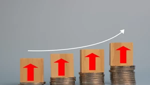 Inflacja w strefie euro osiągnęła w październiku poziom 10,7 proc.