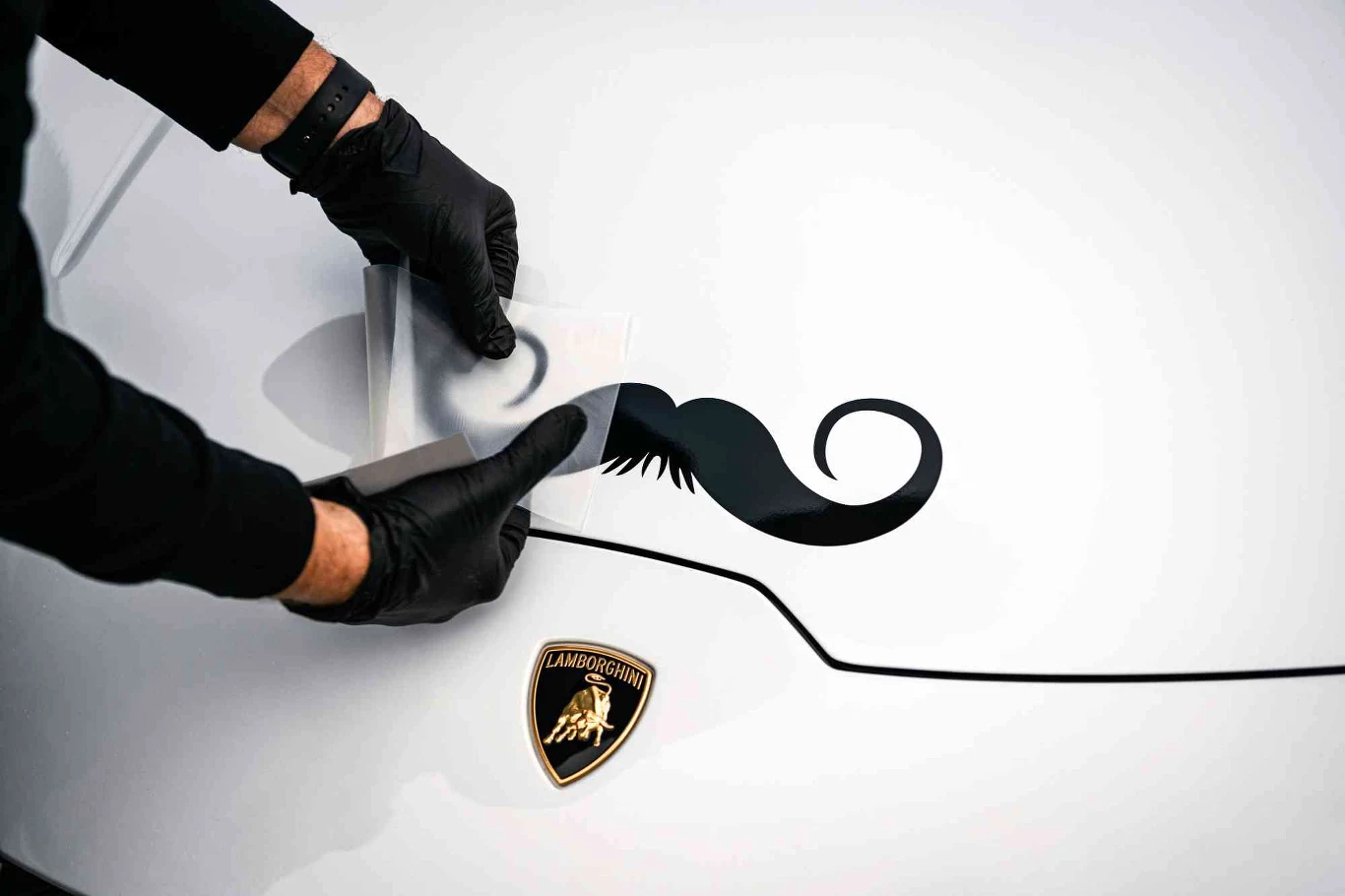 Wąsate Lamborghini to element akcji Movember Wąsate Lamborghini to element akcji Movember