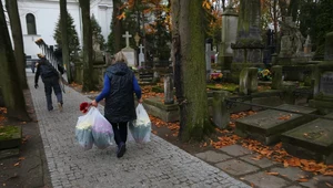 Hieny cmentarne wracają przez kryzys. Na co trzeba zwrócić uwagę?