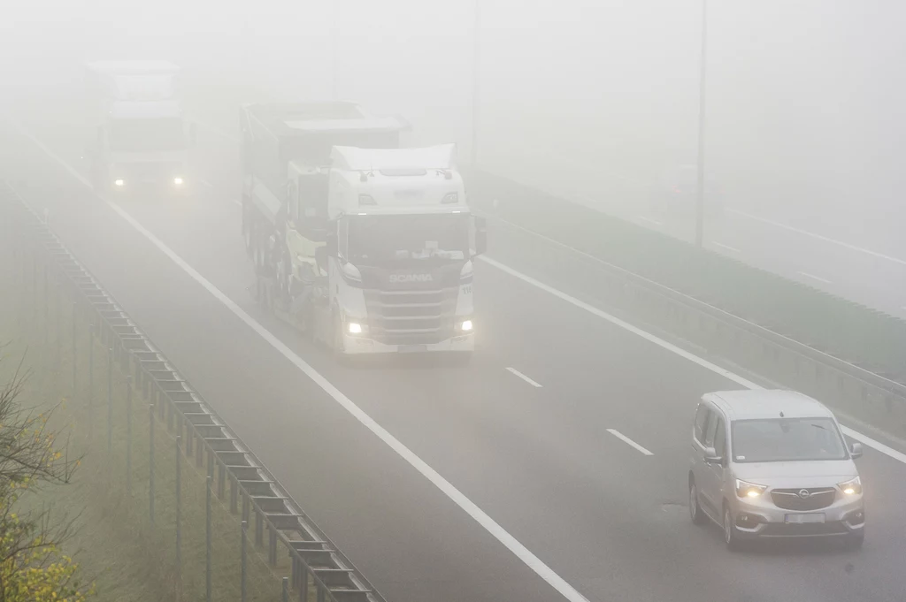 Jak zachować się widząc gęstą mgłę na drodze?