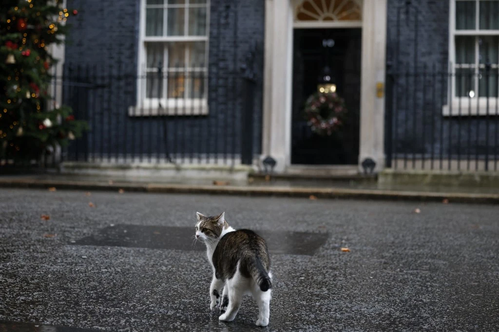 Larry na Downing Street
