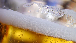 Grupę Żywiec nie zapłaci 47,1 mln zł zaległego podatku?