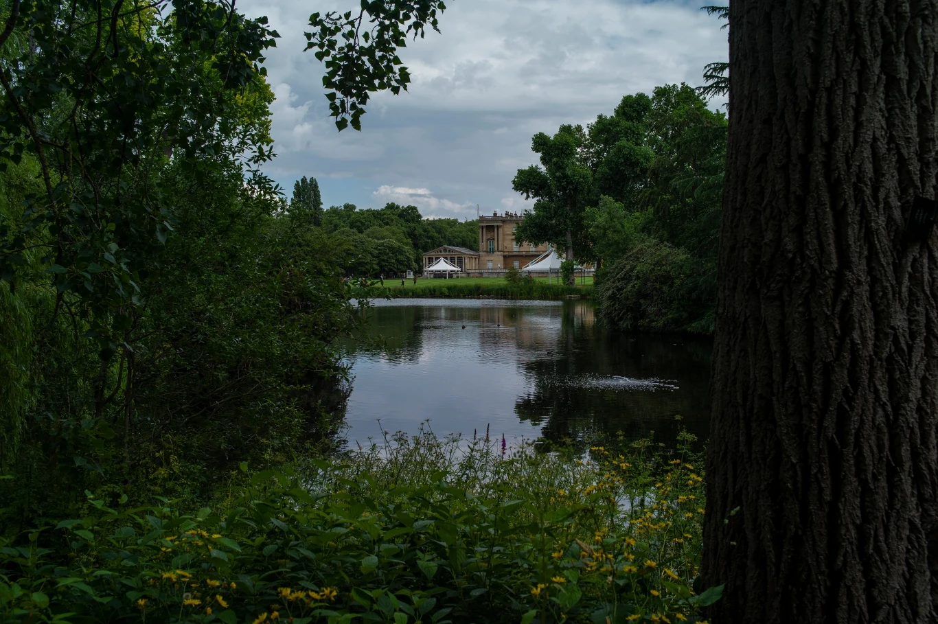 Ogrody Pałacu Buckingham Ogrody Pałacu Buckingham