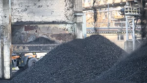Samorządowy skład węgla na terenie zakładu Tauron Wytwarzanie, Oddział Elektrownia Stalowa Wola w Stalowej Woli