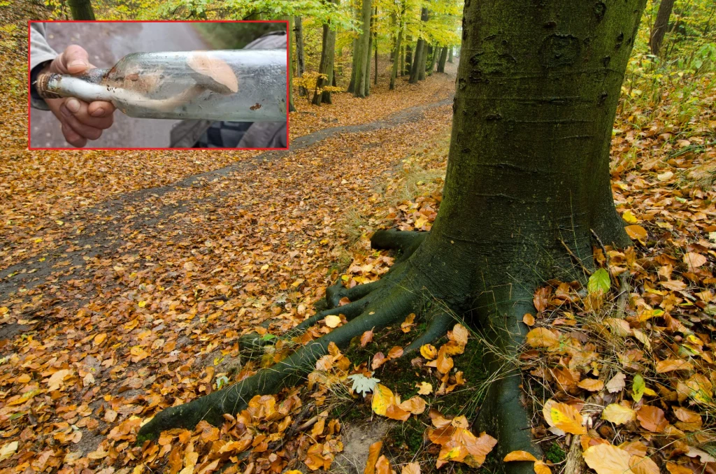 Niezwykłe znalezisko w Lasach Janowskich na Lubelszczyźnie 