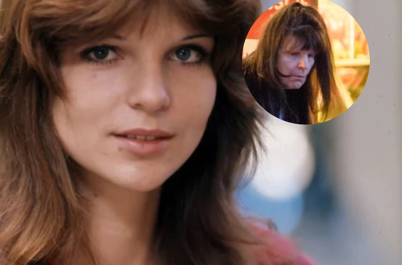 Elżbieta Dmoch miała wypadek. Jak dziś się czuje? Elżbieta Dmoch miała wypadek. Jak dziś się czuje?