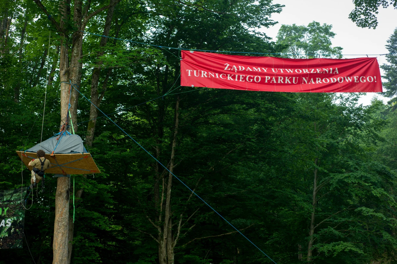 Blokada wycinki drzew na terenie Pogórza Przemyskiego Blokada wycinki drzew na terenie Pogórza Przemyskiego