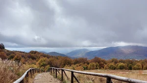 Ludzie od dekad mają pomysł "uciec w Bieszczady"