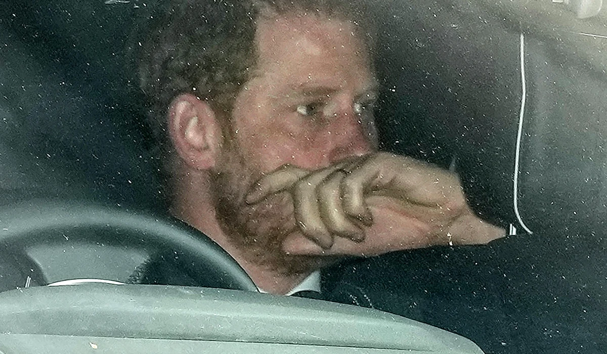 Książę Harry Książę Harry