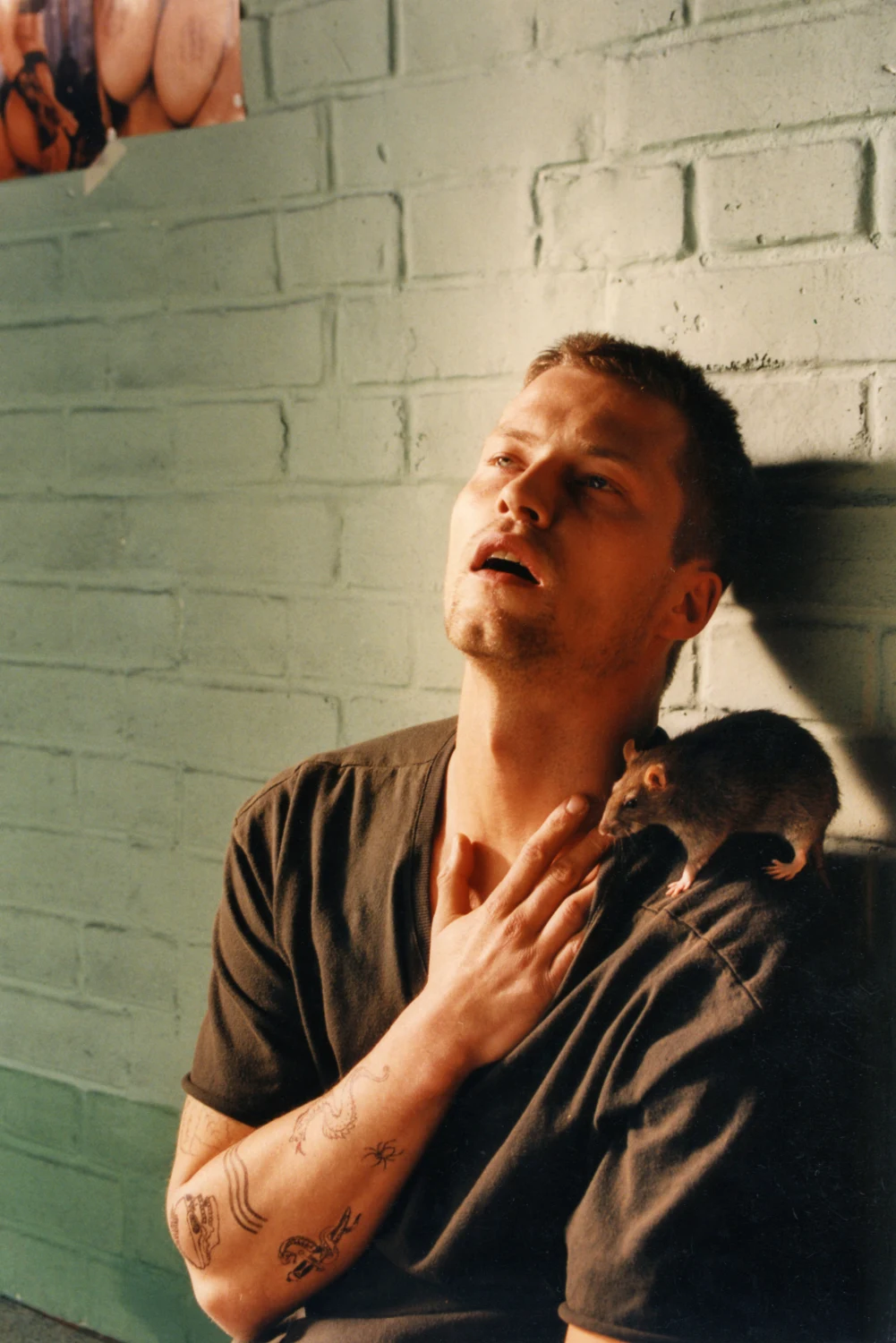 Til Schweiger w filmie "Bandyta" Til Schweiger w filmie "Bandyta"