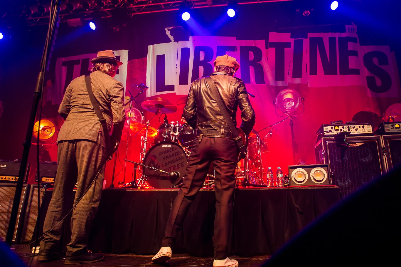 Zobacz zdjęcia z koncertu The Libertines w Warszawie!