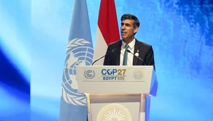 Rishi Sunak na COP27: Wojna w Ukrainie powinna przyspieszyć ochronę klimatu