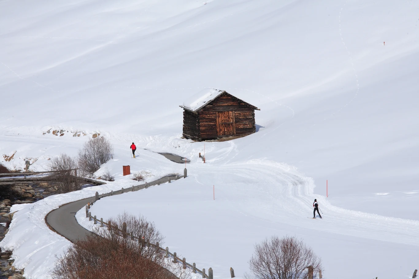Zawody PŚ w Pucharze Świata odbędą się w Livigno Zawody PŚ w Pucharze Świata odbędą się w Livigno
