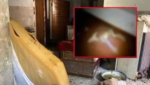 W ośrodku w Skubiance znaleziono truchło zagłodzonego psa