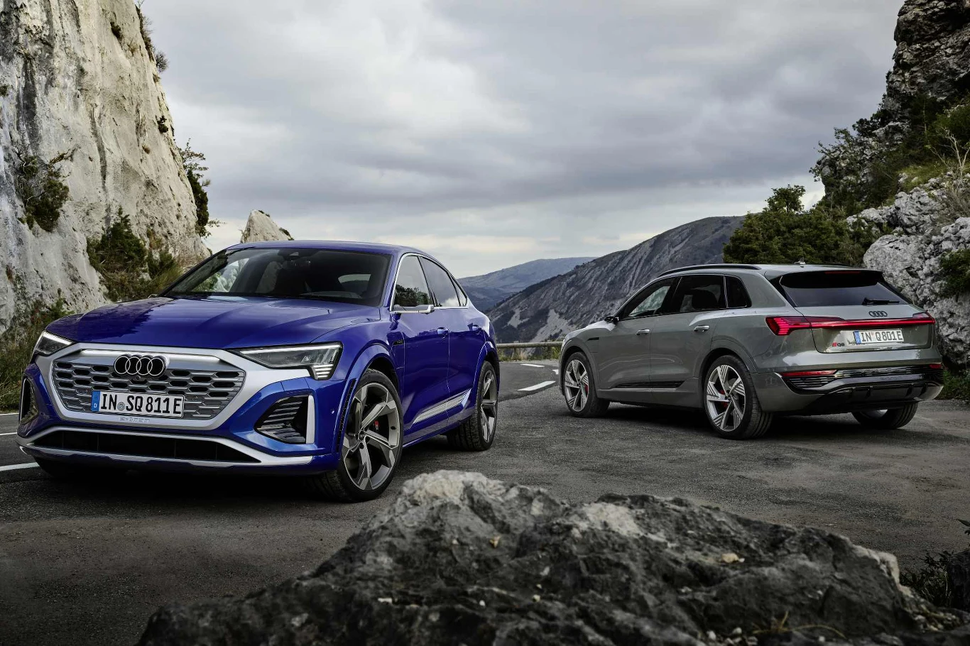 Audi Q8 e-tron quattro