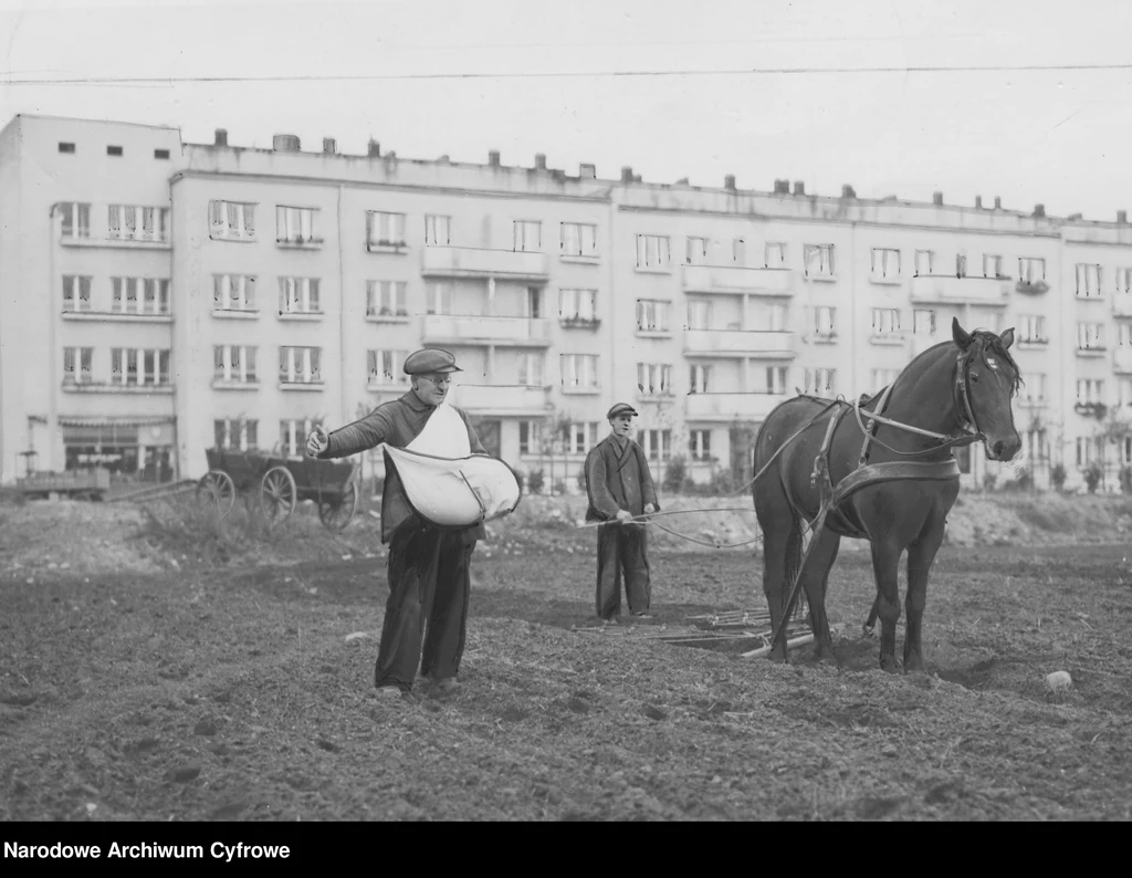 Gdynia była miastem kontrastów