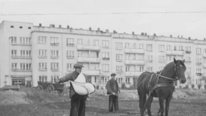 "Było nic, jest coś". Opowieść o tym, jak narodziła się Gdynia