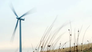 Polska liczy na środki KPO na wiatraki 