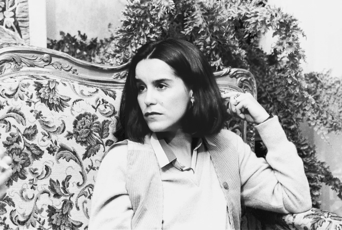 Lucélia Santos Lucélia Santos