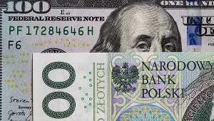 Złoty umacnia się w stosunku do dolara po danych o inflacji w USA. Zdj. ilustracyjne