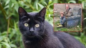 Mężczyzna próbował "przemycić" kota w reklamówce