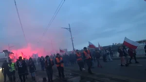 Fragment transmisji prowadzonej na kanale @Franio /twitch.tv